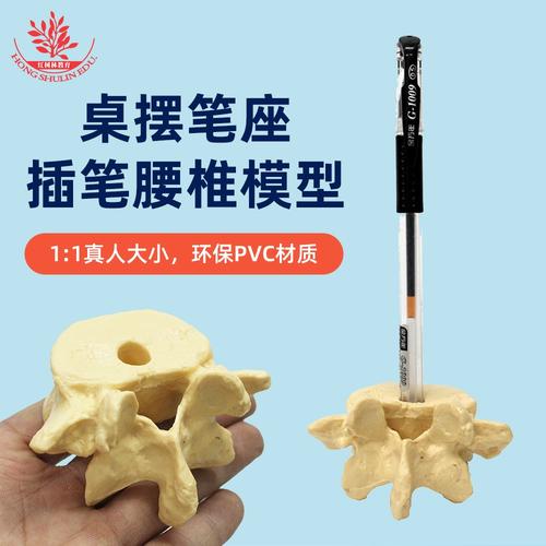 腰椎模型笔座 医学与时尚的跨界融合